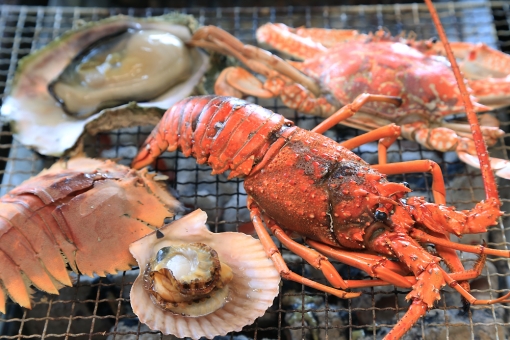 2013 秋・延岡「伊勢えび」特集☆ カキ小屋三洋水産