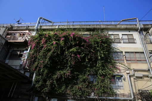 大分市中心部街あるき〜大分みちくさ小道 2013