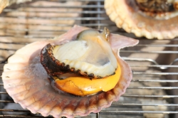 髙平屋・海鮮焼き緋扇貝