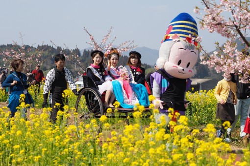 延岡花物語2016『このはなウィーク』無事終了