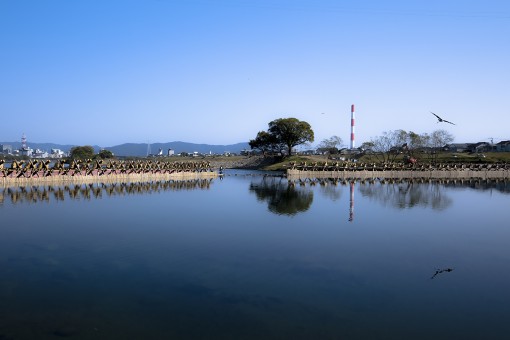 延岡水郷鮎やな