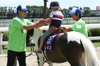 乗馬試乗会