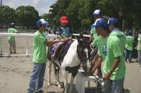 乗馬試乗会