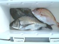 �N���A�^�C