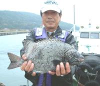 �C�V�K�L�_�C1.6kg