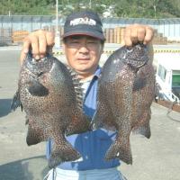 �C�V�K�L�A1,4kg1,5kg