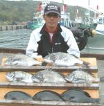 �������N���@�`�k�i�P�`1,9kg�j��