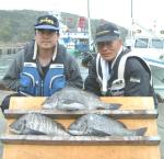 ��������e�q�`�k�i1,5�`2,2kg)��o�G