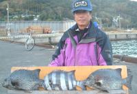 北川氏　石鯛石ガキ(1～1,5kg)