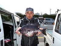 かいさんイシダイ　45ｃｍ2キロ