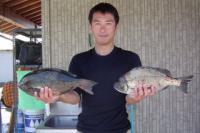 清武　工藤さん　クロ1.7ｋｇ　チヌ1.4ｋｇ