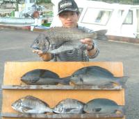 鳥越氏　クロ,チヌ(1～2,3kg)
