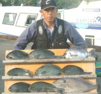 渡辺氏 石鯛(1kg)クロ(1k前後)
