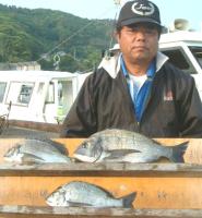 落合氏チヌ(800〜1.3kg)