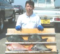 黒木氏 鯛,クロ,チヌ(1〜1,6kg)