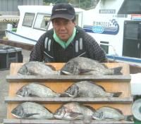 高橋氏 チヌ(800〜1,7kg)
