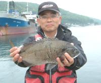 中田氏チヌ(1,2kg)