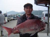高鍋 金田さん 真鯛3.7kg 小ビローにて