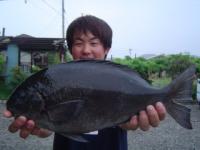 延岡 古賀さん クロ1.7kg〜小ビロー