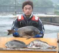 高舘氏 クロ,チヌ(1,2〜2,65kg)