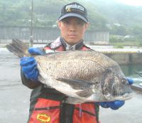 甲斐氏チヌ(2.3kg53cm)