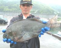 萩原氏クロ(2,2kg47cm)