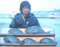 宮城氏クロ(1〜1,7kg)