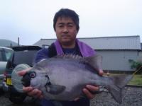 木城 黒木さん 石鯛2kg弱 タツガハナ