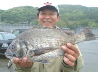 西村氏 チヌ(1,6kg)