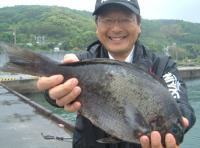 村上氏クロ(1,2kg)