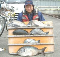 Kc N,`k(800`1,8kg)CXY~(4,8kg60cm)