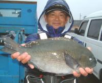 kN(1,4kg)