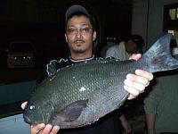 y@֎RN50cm@2,2L