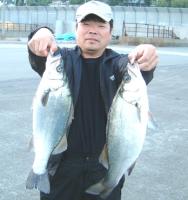 @ʴ@޷(1.8kg1.58kg)