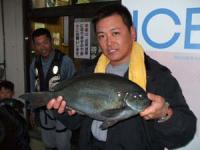 日向 柏田さんクロ 1,95キロ