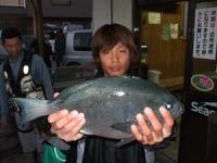 佐土原 日高さんクロ 1,7キロ