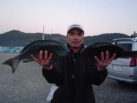延岡 三浦さん クロ1.62kg 1.5kg〜ビロー〜 6枚