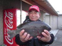 門川 坂本さん クロ1.5kg〜ビロー〜 5枚