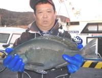 ジョゲン 新名氏クロ(1,5kg)