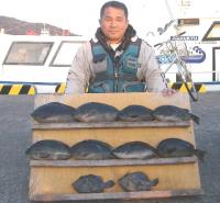 飛島 渦元氏クロ(5〜1kg)