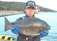 oG@͖쎁(1.9kg)