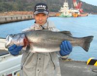 ؉Y @޷(4,38kg75cm)