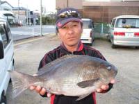 ���@���؂���N���@�Q,�Q�T�L��