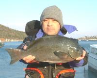 �������@���c����(1,6kg) ��4��