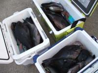 �]������@�֎R����Z��̒މ�