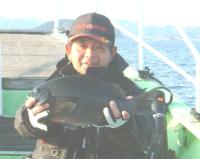 �����@���쎁��(1,2kg)