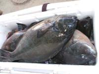 ��コ��N���@�P�`�Q�L���@�P�O��