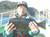 �����@���؎���(1,36kg)