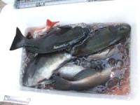 ���삳��N�[���[���^��