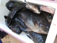 ���x�@�^�q����N�[���[���^��